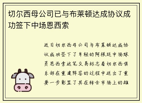 切尔西母公司已与布莱顿达成协议成功签下中场恩西索