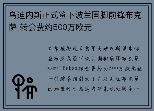 乌迪内斯正式签下波兰国脚前锋布克萨 转会费约500万欧元